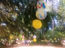 Balloons in the park.